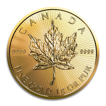 Load image into Gallery viewer, 2023 Canadian Gold Maple Leaf 1 Gram .9999 (MapleGram25)
