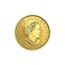 Load image into Gallery viewer, 1/4 oz 2017 Canadian Mint Bison Gold Coin