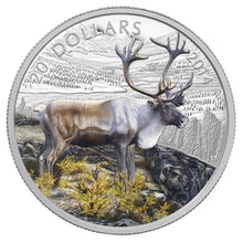 Load image into Gallery viewer, RDC 2014 CANADA $20 THE CARIBOU FINE SILVER COLOURIZED (NO TAX)
