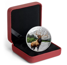 Load image into Gallery viewer, 1 oz. Fine Silver Coloured Coin - Majestic Elk - Mintage: 6,500 (2015)
