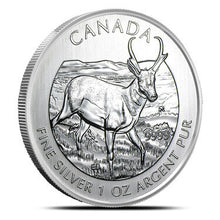 Load image into Gallery viewer, 2013 Royal Canadian Mint Pronghorn Antelope 1 oz .9999 Silver Coin
